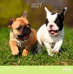 Calendrier mensuel 30X30cm CHIOTS - 16 mois Aquarupella