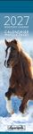 Calendrier marque-pages mensuel 4X16cm CHEVAUX PHOTOS