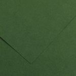 CANSON - 25 Feuilles Iris Vivaldi 50 x 65 cm - 120 g - Vert Sapin