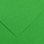 CANSON - 25 Feuilles Iris Vivaldi 50 x 65 cm - 240 g - Vert Franc