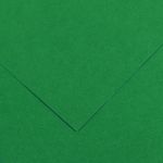 CANSON - 25 Feuilles Iris Vivaldi 50 x 65 cm - 240 g - Vert Mousse