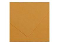 Canson Iris Vivaldi - Papier - 500 x 650 mm - 25 feuilles - cuir - 185 g/m²