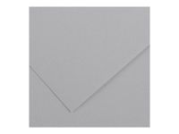 Canson Iris Vivaldi - Papier - 500 x 650 mm - 25 feuilles - gris clair - 185 g/m²