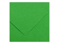 Canson Iris Vivaldi - Papier - 500 x 650 mm - 25 feuilles - vert vif - 185 g/m²
