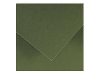 Canson Iris Vivaldi - Papier - 500 x 650 mm - 25 feuilles - vert kaki - 185 g/m²