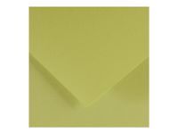 Canson Iris Vivaldi - Papier - 500 x 650 mm - 25 feuilles - citron vert - 185 g/m²