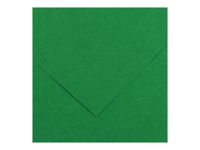 Canson Iris Vivaldi - Papier - 500 x 650 mm - 25 feuilles - vert mousse - 185 g/m²