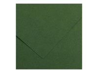 Canson Iris Vivaldi - Papier - 500 x 650 mm - 25 feuilles - sapin - 185 g/m²