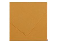 CANSON Iris Vivaldi - Feuilles - 500 x 650 mm - 25 feuilles - cuir - 240 g/m² - papier