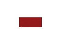 Canson Iris Vivaldi - Papier craft - 500 x 650 mm - 25 feuilles - rouge foncé - 240 g/m²