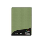 Pollen - 50 Feuilles papier couleur - A4 (21 x 29,7 cm) - 120 g/m² - vert sauge