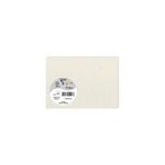 Pollen - 25 Cartes - 110 x 155 mm - 210 g/m² - natura 100% recyclé