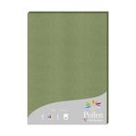 Clairefontaine Pollen - Papier de création - A4 210 g/m² Vert Sauge Lot de 25 feuilles
