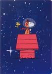 Peanuts - Carnet A5 Souple Ligné Illustré - Espace - 128 Pages