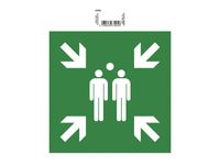 Exacompta - Pictogramme - point de rassemblement - 200 x 200 mm - vert