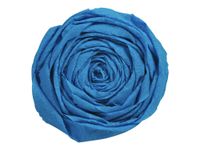 Clairefontaine Premium - Papier crépon - Rouleau 50 cm x 2,5 m - 40 g/m² - bleu pétrole