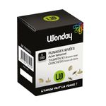 Wonday - 100 Punaises laitonnées (boîte)