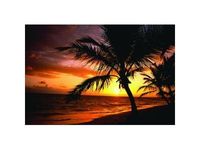 Fellowes nature - Tapis de souris - Le temps des palmiers