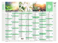Quo Vadis Equology - Calendrier recyclé 7 mois par face - 40,5 x 55 cm