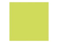 Pollen - 25 Cartes - 135 x 135 mm - 210 g/m² - vert bourgeon
