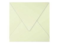 Pollen - 20 Enveloppes - 165 x 165 mm - 120 g/m² - vert bourgeon