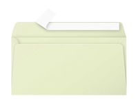 Pollen - 20 Enveloppes - 110 x 220 mm - 120 g/m² - vert bourgeon