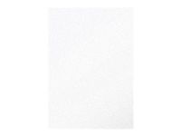Pollen - 50 Feuilles papier couleur - A4 (21 x 29,7 cm) - 120 g/m² - blanc irisé