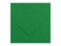 Canson Colorline - Papier à dessin - 50 x 65 cm - vert