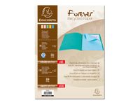 Exacompta Forever - 50 Chemises + 100 sous-Chemises - 170 + 60 gr - couleurs assorties