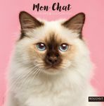 Calendrier illustré BOUCHUT 30 x 30 cm MON CHAT Pefc 70 %