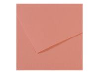 Canson Mi-Teintes - Papier à dessin - 50 x 65 cm - rose foncé