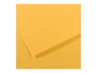 Canson Mi-Teintes - Papier à dessin - 50 x 65 cm - bouton d'or