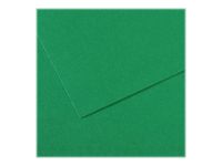 Canson Mi-Teintes - Papier à dessin - 50 x 65 cm - vert billard
