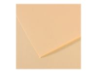 Canson Mi-Teintes - Papier à dessin - 50 x 65 cm - ivoire