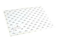Canson Bristol - Papier à dessin - feuille 50 x 65 cm - 250 g/m² - blanc