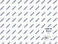 Canson Montval - Papier aquarelle - 50 x 65 cm - 270 g/m² - blanc