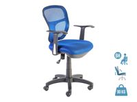 Fauteuil de bureau PHOENIX - accoudoirs fixes - Bleu