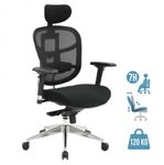 Fauteuil de bureau TECKNET - accoudoirs réglables - appuie-tête réglable - noir