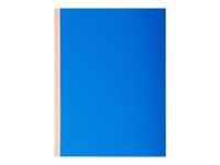 Exacompta Forever - 10 Chemises à soufflet - 320 gr - couleurs assorties