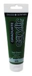 Daler-Rowney Graduate - Peinture acrylique - 120 ml - vert sève