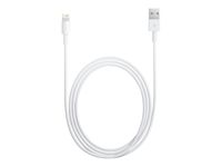 Apple câble Lightning - Lightning / USB - 1 m