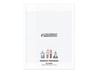 Conquérant Classique - Cahier polypro de travaux pratiques (TP) - 24 x 32 cm - 96 pages - grands carreaux (Seyes)/uni - transparent