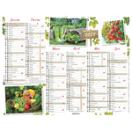 Oberthur Côté jardin - Calendrier 6 mois par face - 40,5 x 52 cm