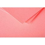 Pollen - 25 Cartes - 106 x 213 mm - 210 g/m² - litchi