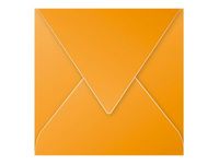 Pollen - Sobre - 140 x 140 mm - puntiagudo - abertura lateral - imprimible - capuchina - paquete de 20