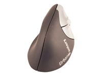 Urban Factory - souris filaire ergonomique pour droitier - noir