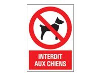 Pickup - Panneau Interdit aux chiens - 230 x 330 mm