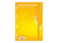 Calligraphe - feuilles simples A4 - 100 pages - grands carreaux (Seyes) - perforées - jaune