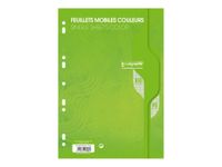 Calligraphe - feuilles simples A4 - 100 pages - grands carreaux (Seyes) - perforées - vert