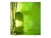 Cloison de séparation EASYSCREEN - L160 x H174 cm - zen 1
